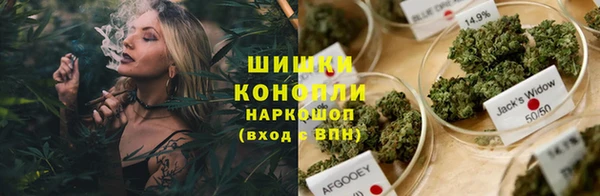 ПСИЛОЦИБИНОВЫЕ ГРИБЫ Наволоки
