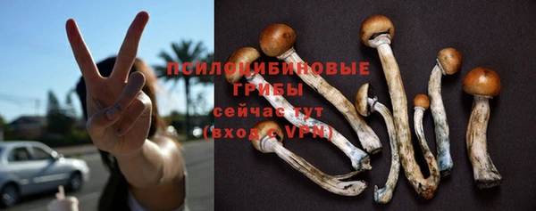 ПСИЛОЦИБИНОВЫЕ ГРИБЫ Наволоки