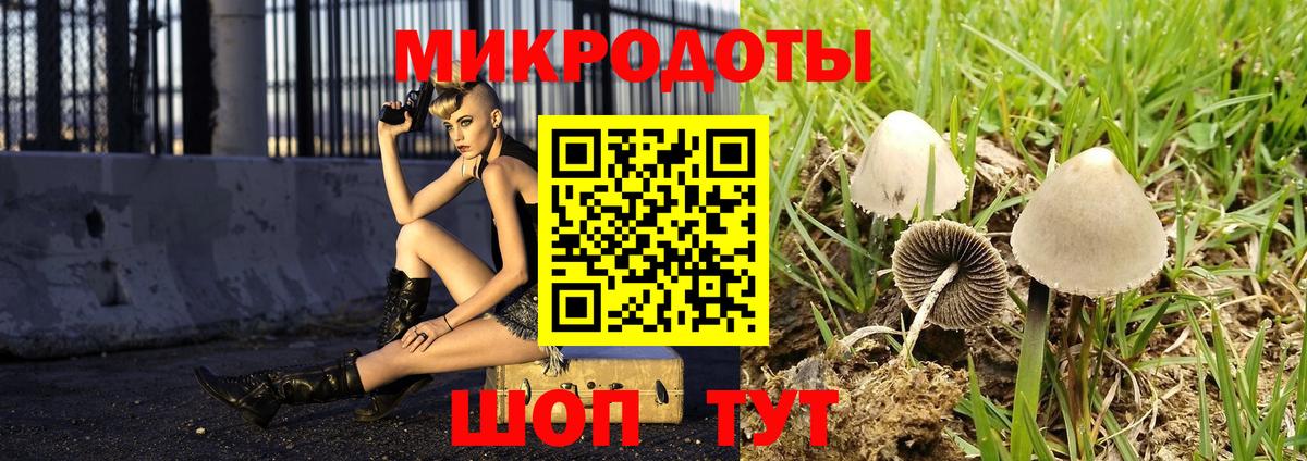 Псилоцибиновые грибы прущие грибы Нягань