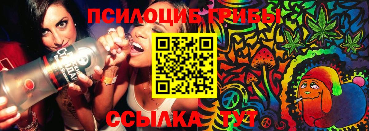 Псилоцибиновые грибы Psilocybine cubensis  Вход с VPN  Галлюциногенные грибы GOLDEN TEACHER  Нягань 